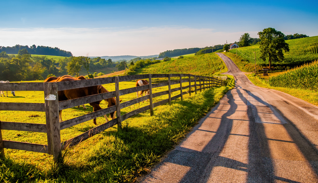 Fence and horses along a country backroad in rural York County, PA.